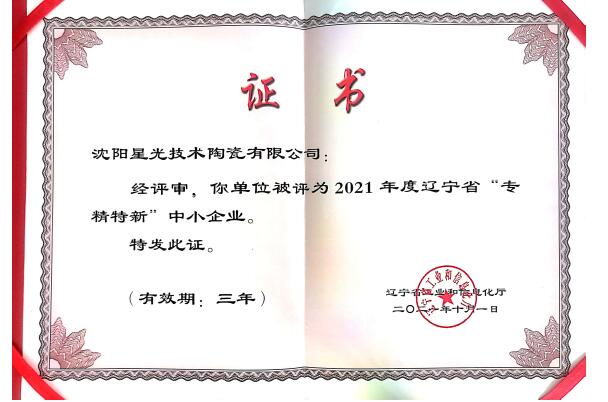 2021年專精特新中小企業(yè)