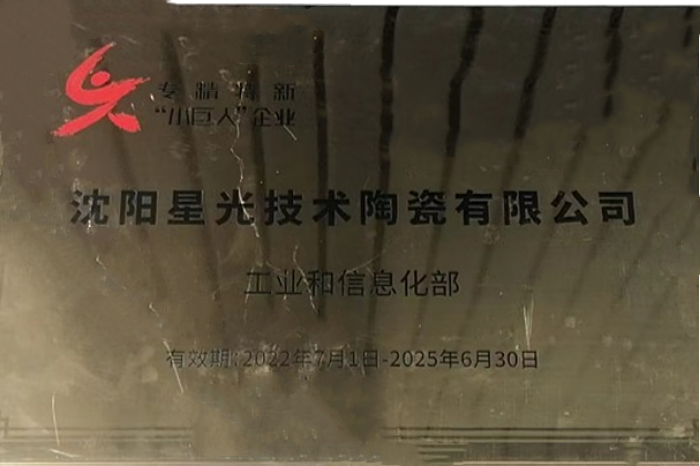 2022年國家級專精特新“小巨人”企業(yè)